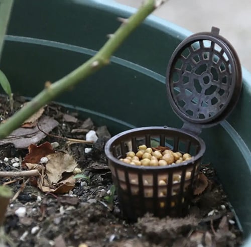 10 سله السماد الحبيبات للبونساي والشتلات