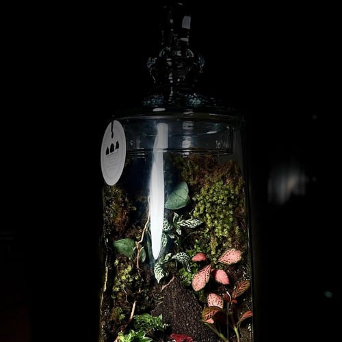 Terrarium 16