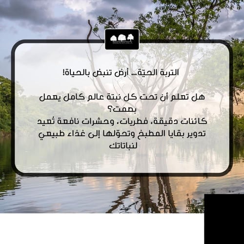 ورشة أساسيات الاستدامة والتربة الحية