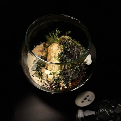 Live terrarium 2