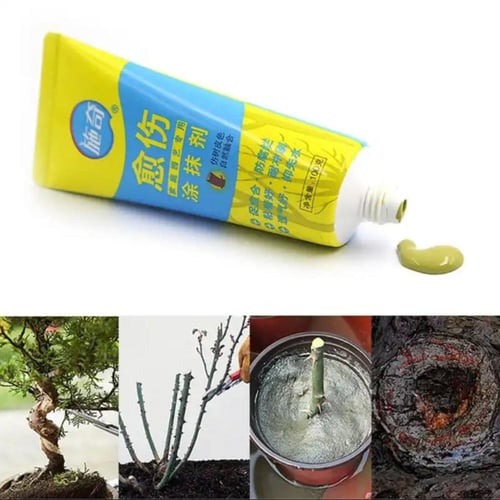 مرهم لقفل اجراح الشجره ومنع التعفن بعد التقليم