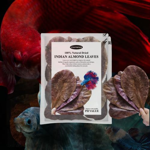 أوراق الكاتابا المجففة 100% الطبيعية – لتحسين جودة...