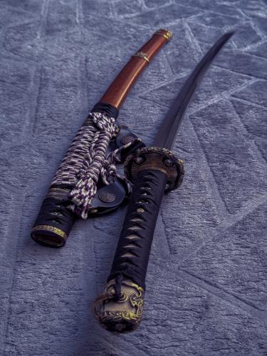 Oni no Ikari Tachi