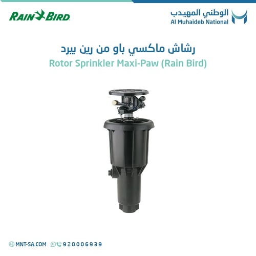 رشاش ماكسي باو دوار من رين بيرد