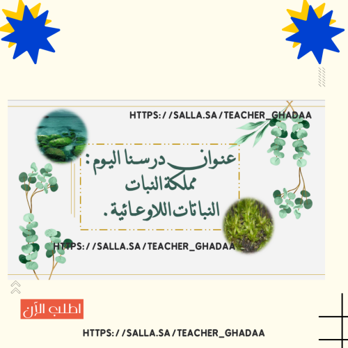 Non-vascular plants