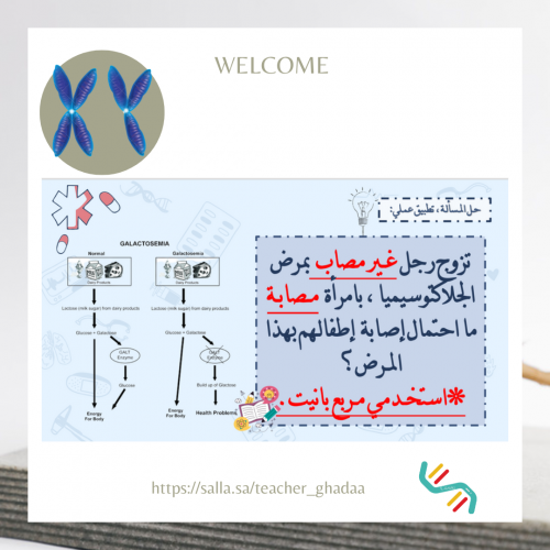 الأنـماط الأساسية ووراثة الإنسان