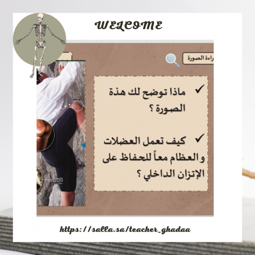 The lesson of the skeletal system ()