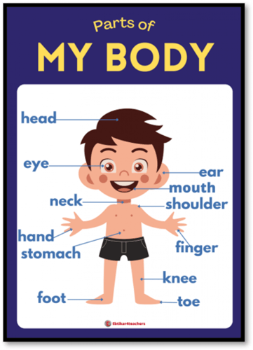 بوكس الأنشطة We can 1-part 1-unit 2