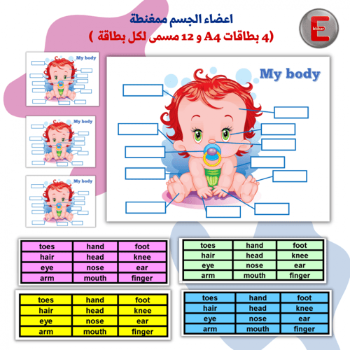 بوكس الأنشطة We can 1-part 1-unit 2