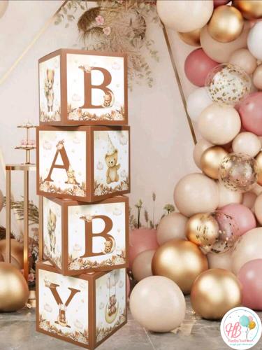 صندوق المواليد دب