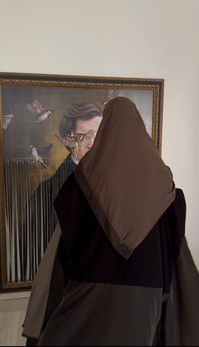 Shades of Brown Velvet