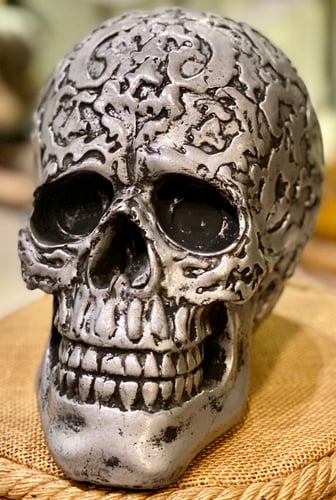 جمجمة ديكور مودرن بالحجم الطبيعي ارتفاع 18 سم عرض...