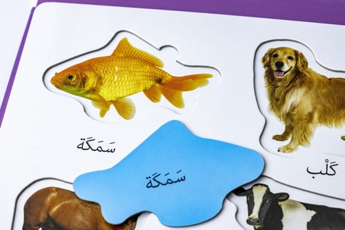 كتاب التعليم اولا - الحيوانات