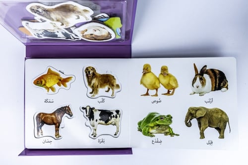 كتاب التعليم اولا - الحيوانات