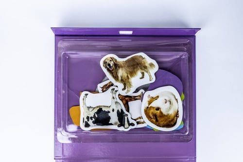 كتاب التعليم اولا - الحيوانات