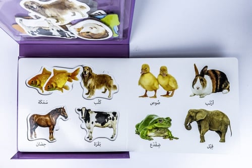 كتاب التعليم اولا - الحيوانات