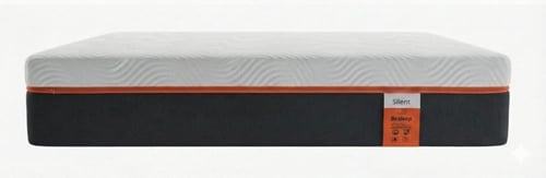 مرتبة سايلنت Silent