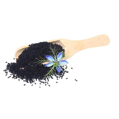 حبة سوداء