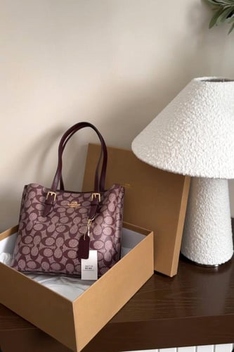 كوتش مولي26cm