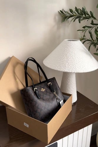 كوتش مولي 26cm