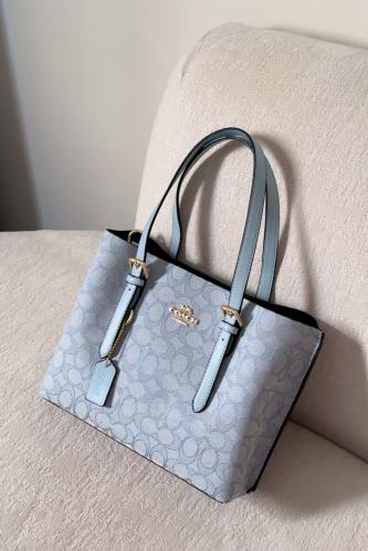 كوتش مولي26cm