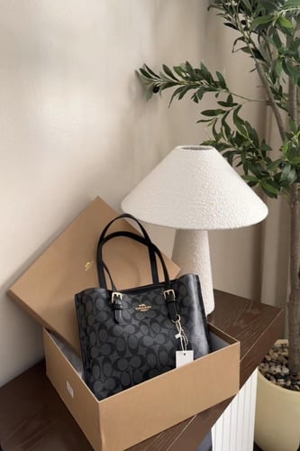 كوتش مولي26cm