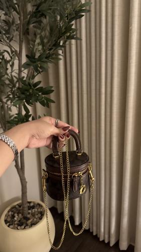 كوتش تريل ميني