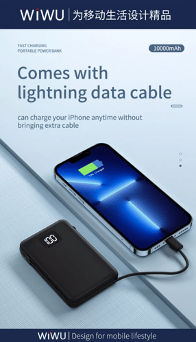 ويوو_بور بانك ماج سيف بسلك مزدوج من wiwu