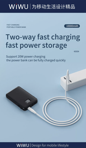 ويوو_بور بانك ماج سيف بسلك مزدوج من wiwu