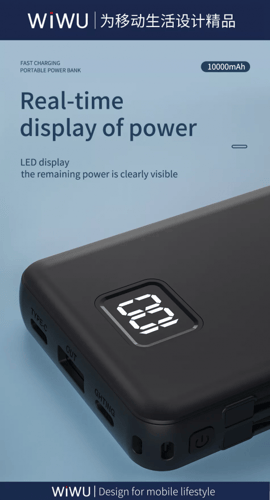 ويوو_بور بانك ماج سيف بسلك مزدوج من wiwu