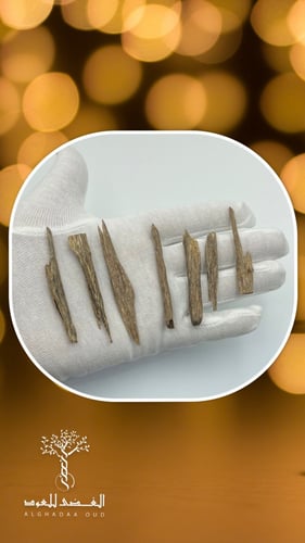 عود سيوفي دبل سوبر فاخر