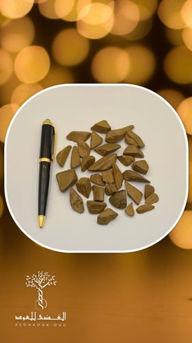 عود مروكي محسن دقة ملكي