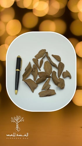 عود مروكي أصقون سوبر مرتفع