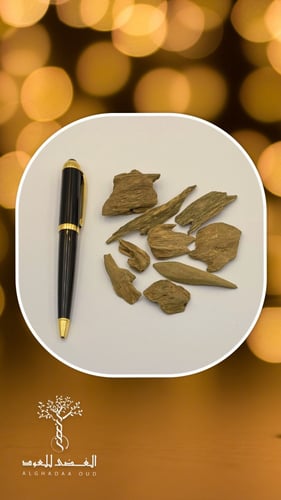 عود مروكي حي ميني سوبر مرتفع