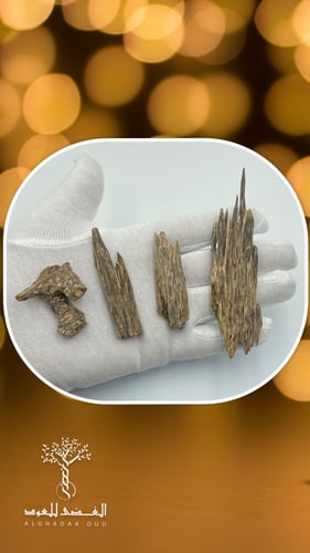 كلمنتان بونتيانك دبل سوبر