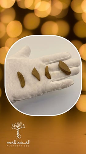 عود مروكي محسن دقة ملكي