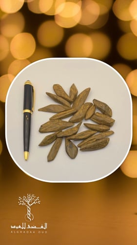 عود مروكي محسن ميني دبل سوبر