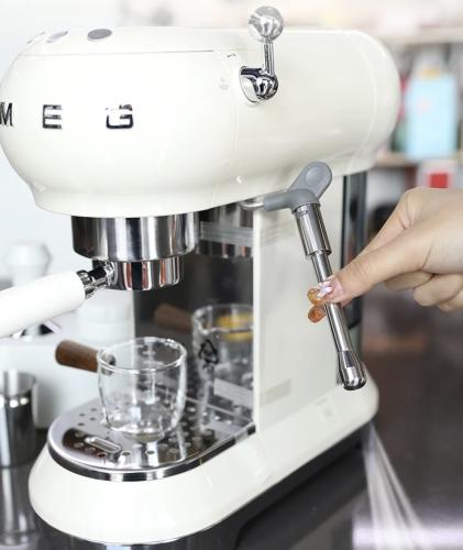 عصا تبخير( رسم ) لجهاز smeg 1