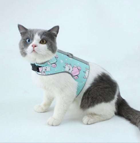 مشد قماش للقطط وكلاب