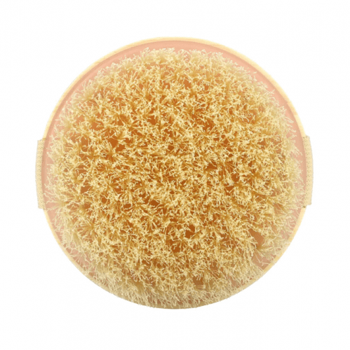 فرشاة جافة دائرية من ايكوتولس Ecotools Round Dry B...