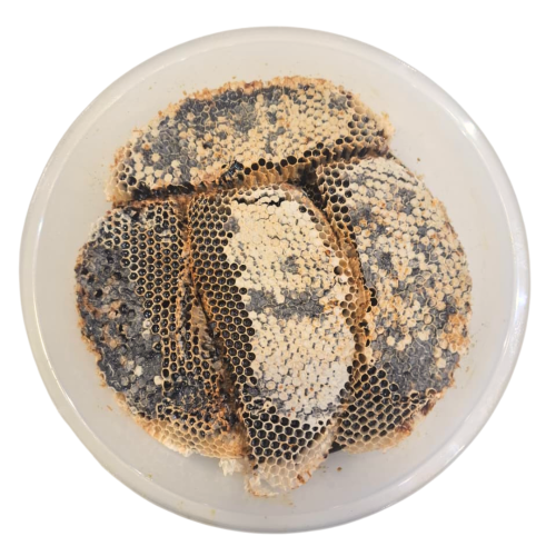 شمع عسل طلح معتّق ( 2 كيلو )