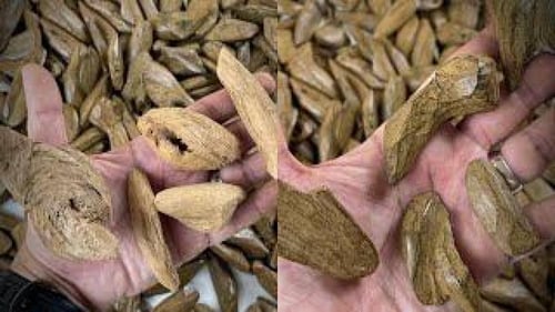 دقة موروكي فاخر محسّن (جواهر)