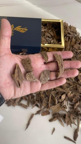 دقة كلمنتان بونتيانيك- سوبر دبل