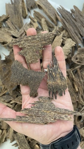 ميني كلمنتان بونتيانيك - سوبر دبل