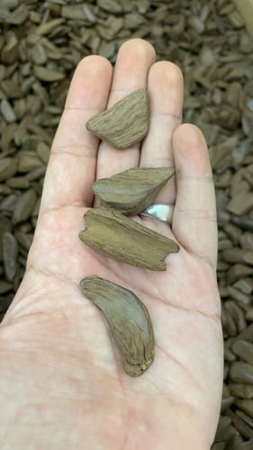 موروكي محسّن معطّر