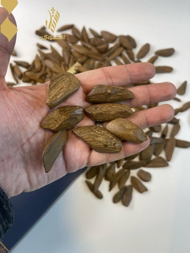 ميني موروكي فاخر - كسر ذهبية