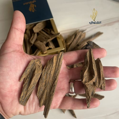 ميني كلمنتان فاخر محسّن - كسر مباخر