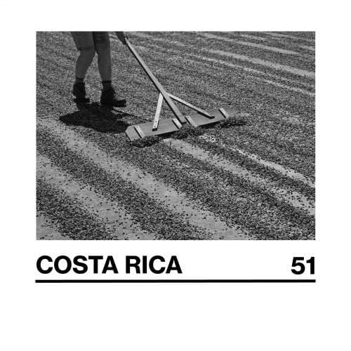 COSTA RICA (51) - 250G