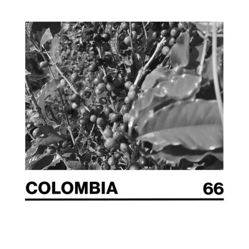 COLOMBIA WASHED (66) 250G
