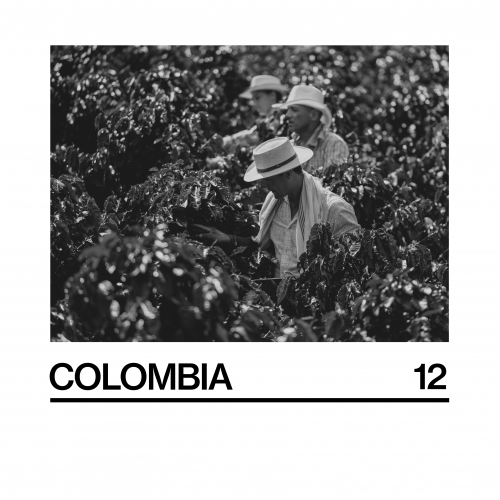 Colombia (12) - 250G